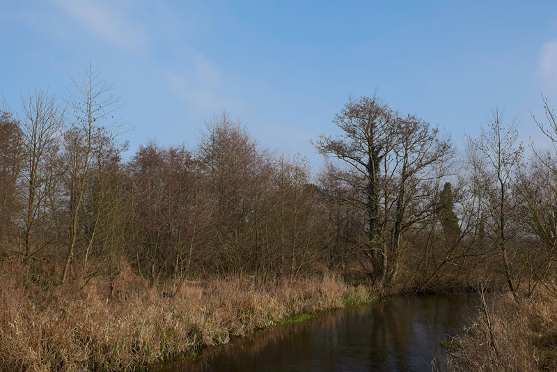 Blickling1302171