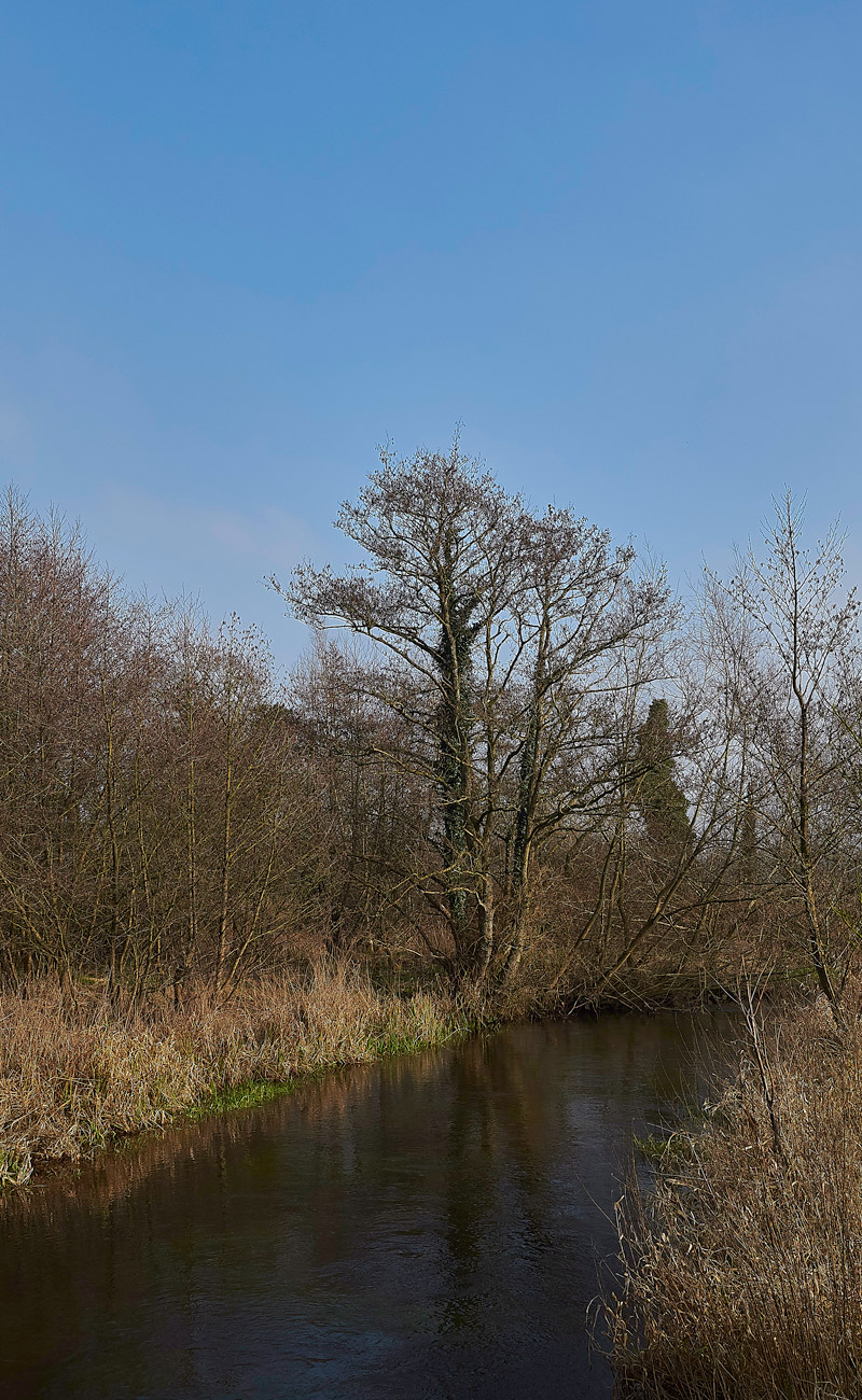 Blickling1302172