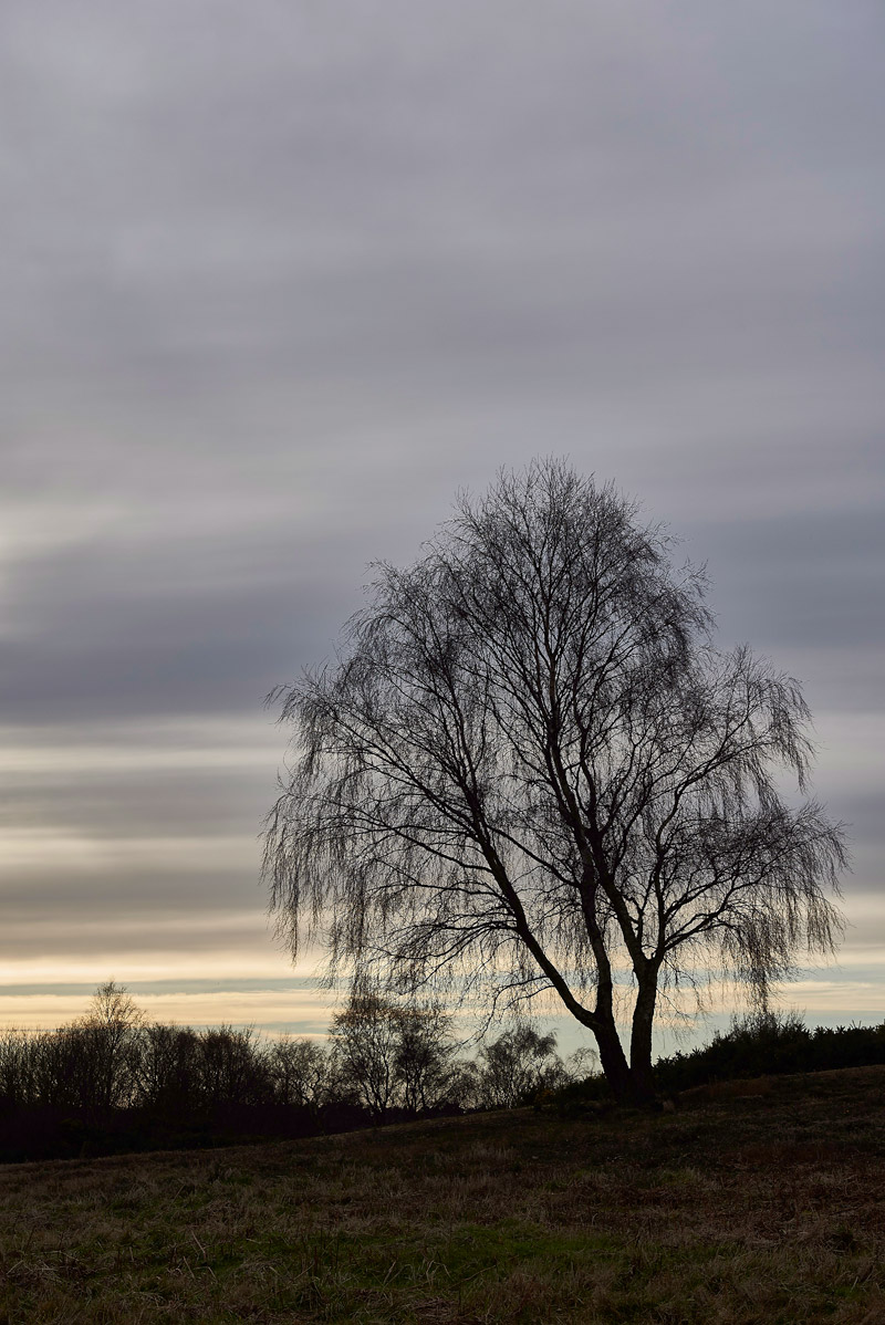 KellingHeath0402172