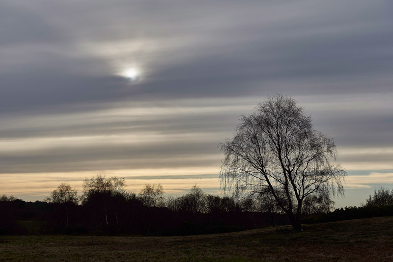 KellingHeath0402175