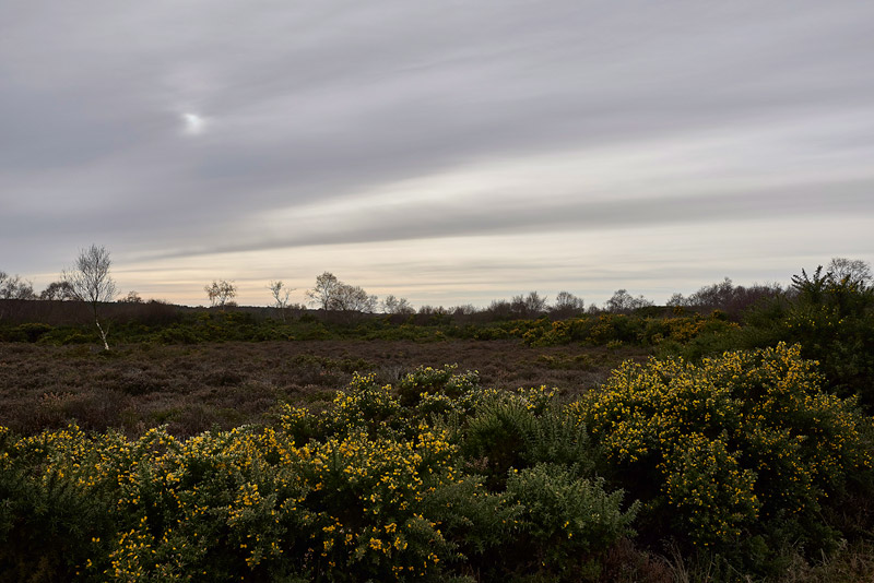 KellingHeath0402178