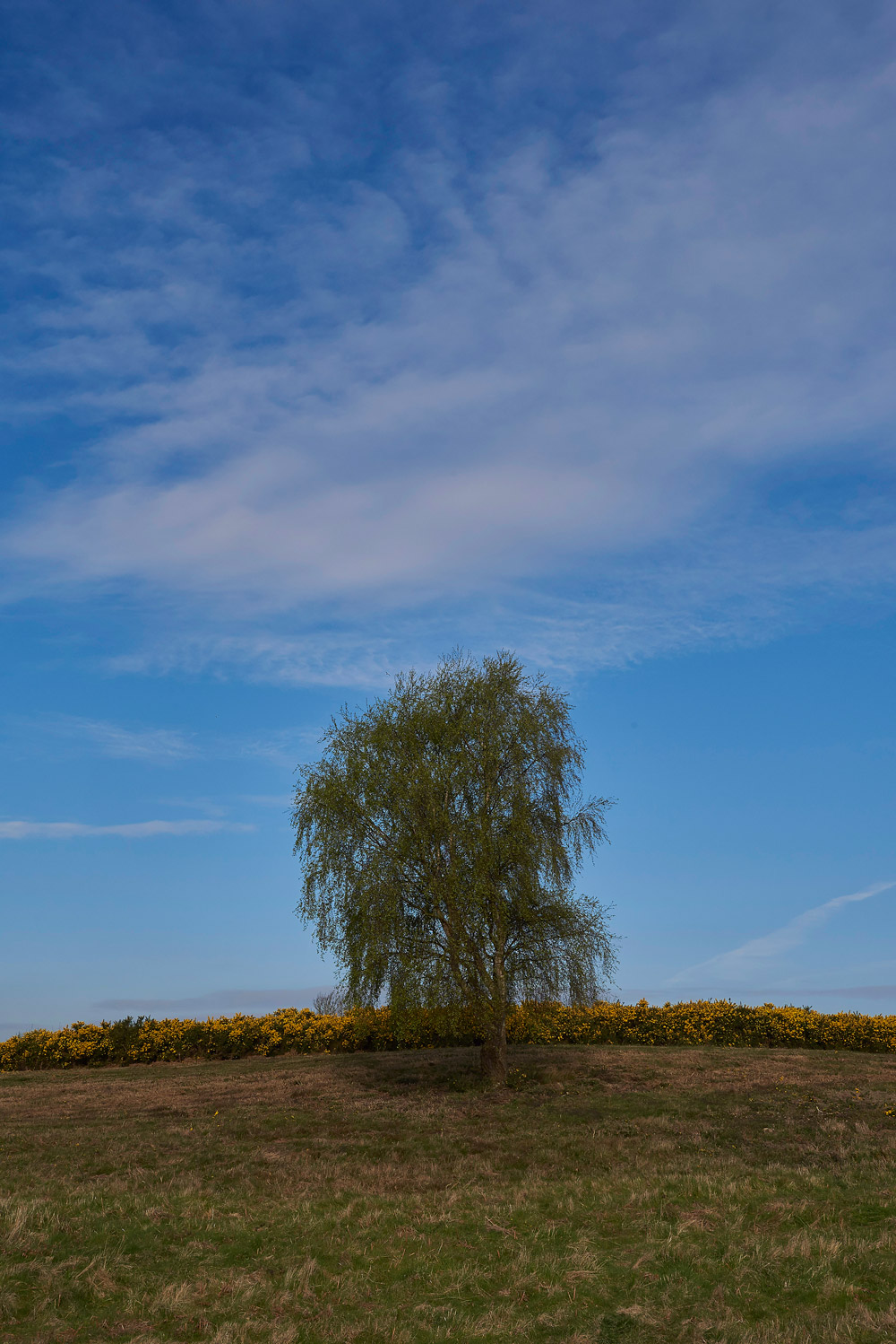 KellingHeath0404172