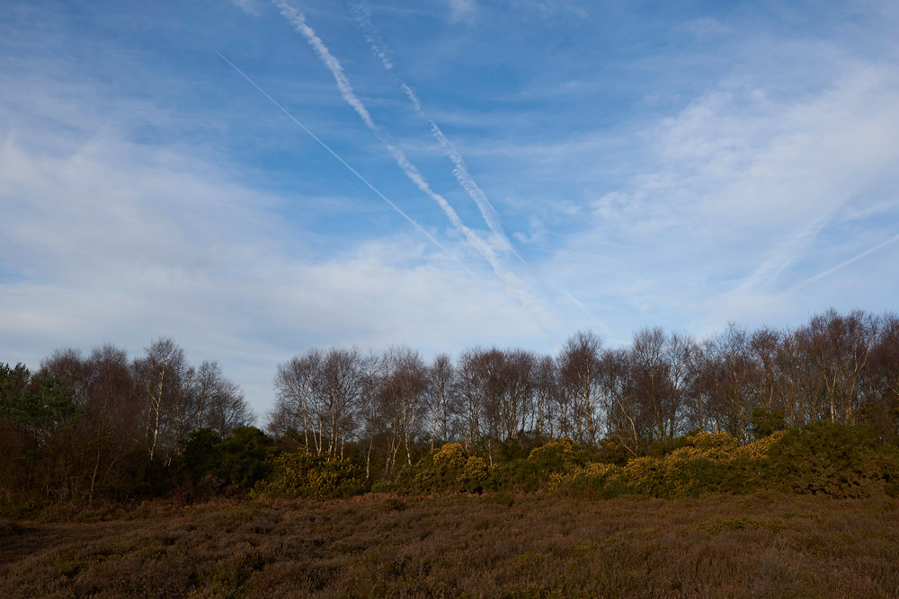 KellingHeath1303172