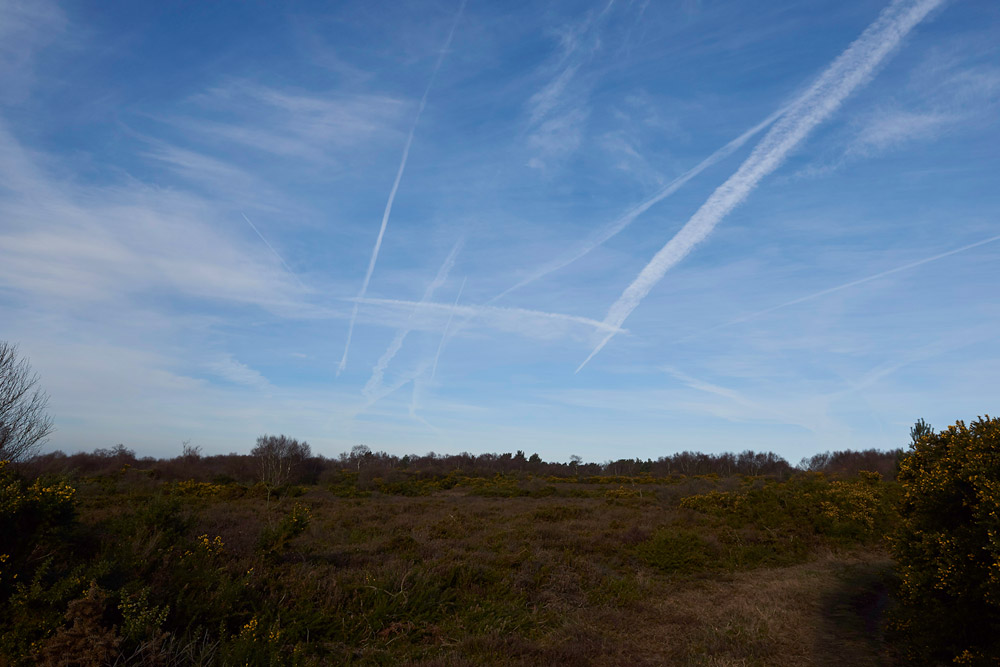 KellingHeath1303174