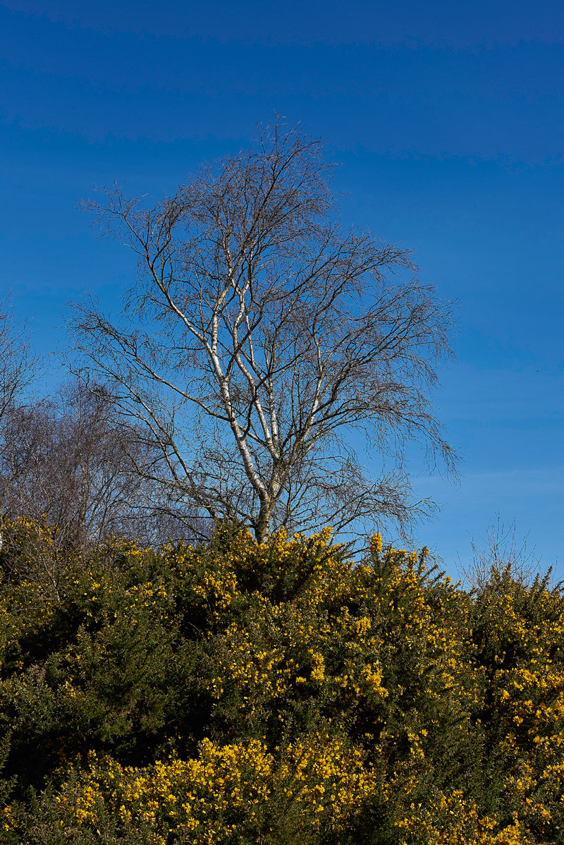 KellingHeath2503172