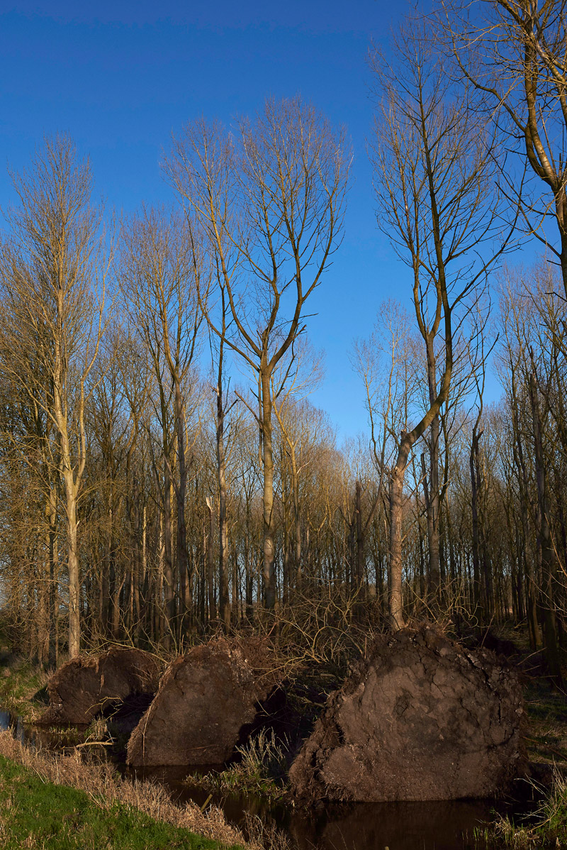 LakenheathFen15031710