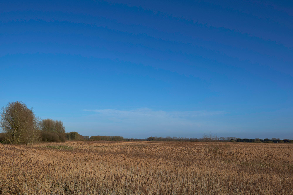 LakenheathFen1503174