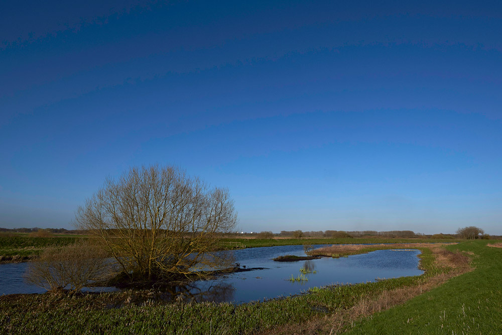 LakenheathFen1503175