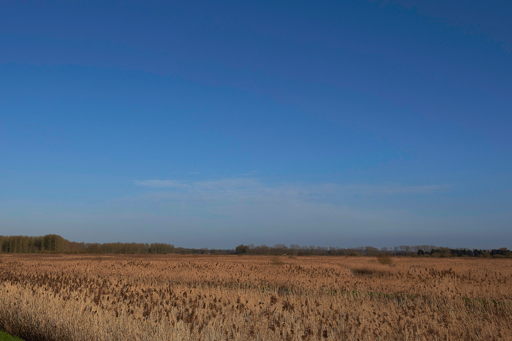 LakenheathFen1503176