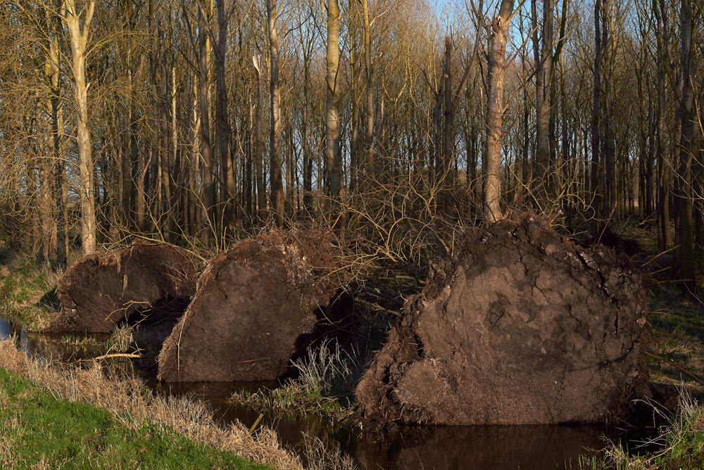 LakenheathFen1503179