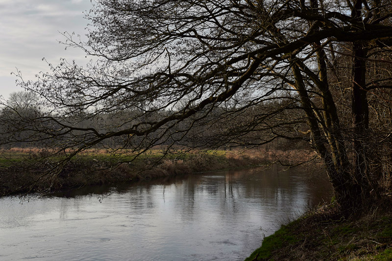 RiverOuseSantonDownham1402171