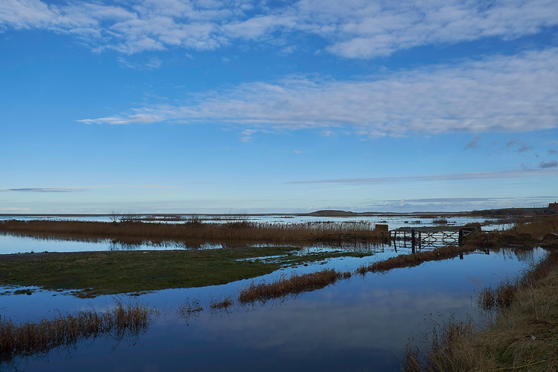 Salthouse1601173