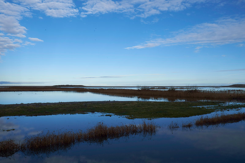 Salthouse1601174