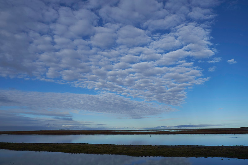 Salthouse1601176