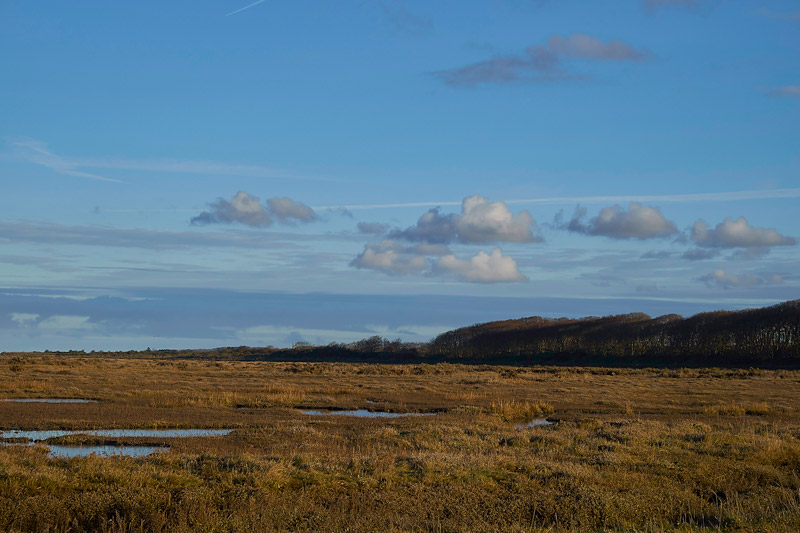 Stiffkey1601171