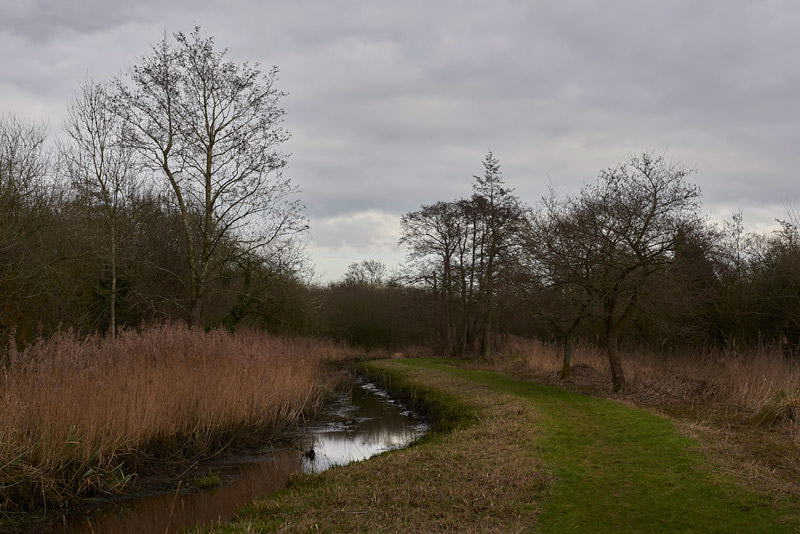 Wheatfen0602171