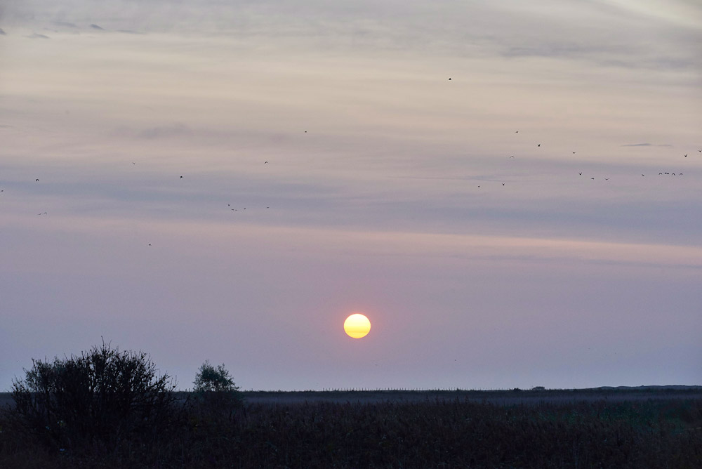 Cley210817-1