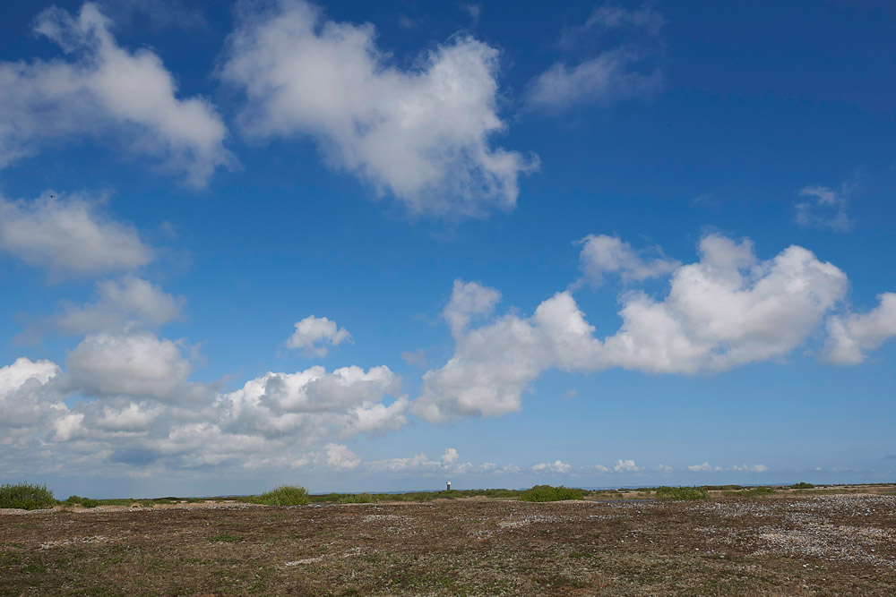 Dungeness3004171