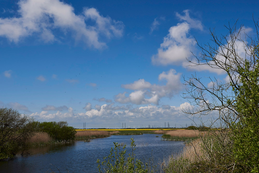 Dungeness3040172