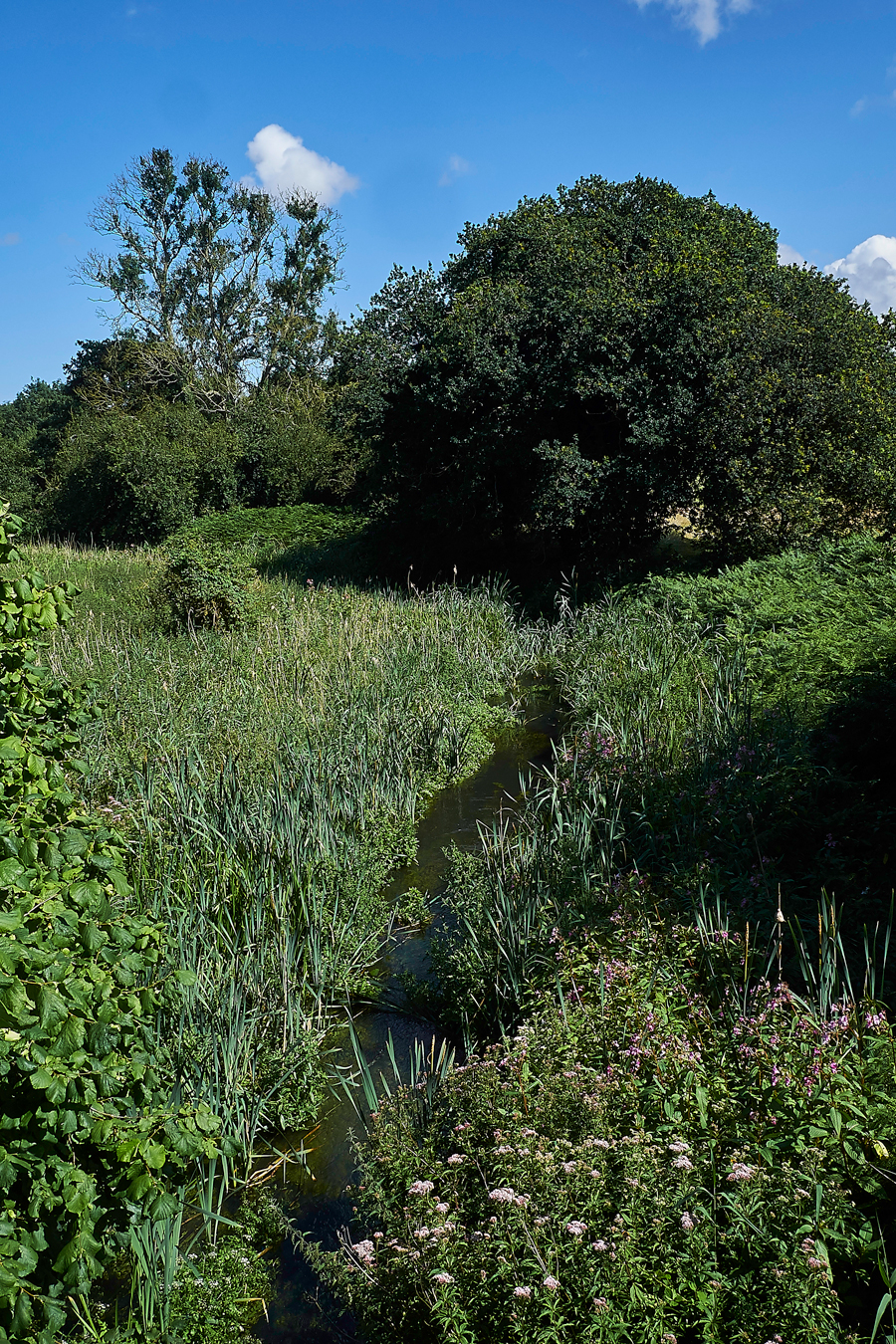 HoningBridge120717-2