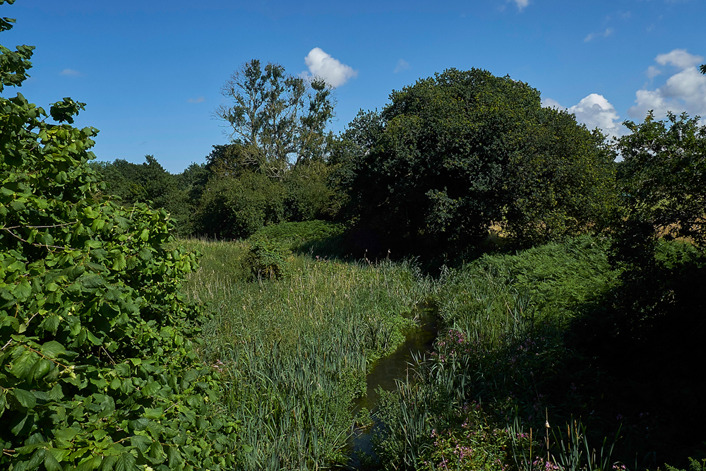 HoningBridge120717-4