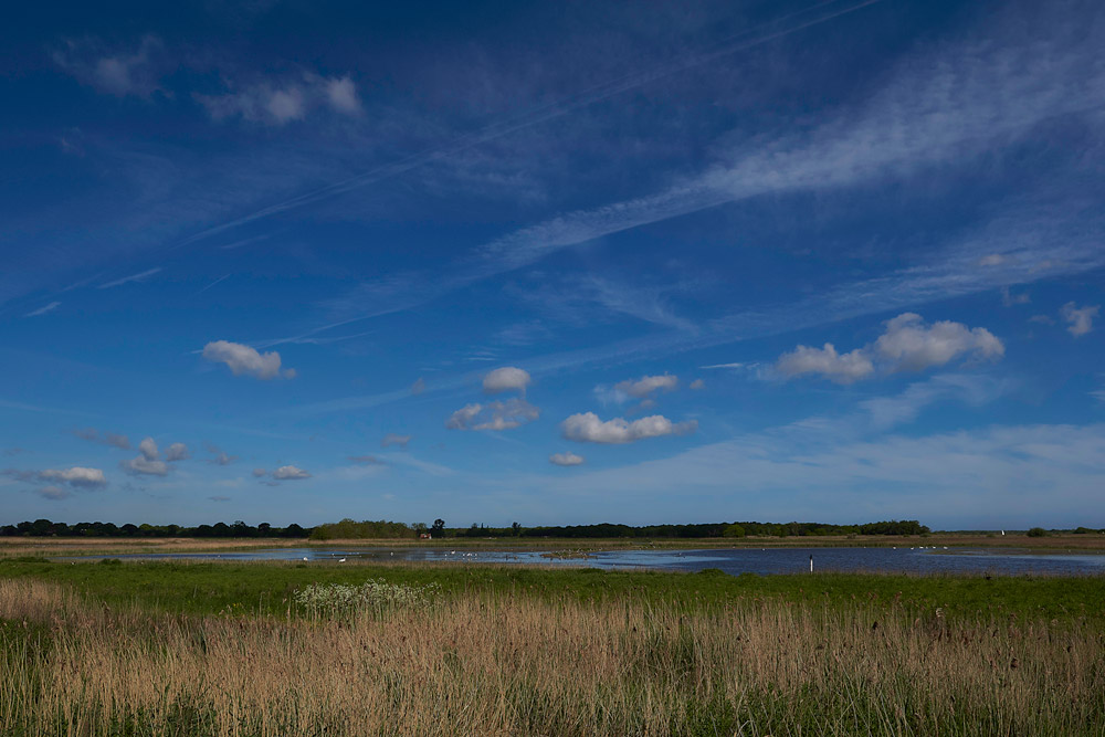 PotterHeighamMarshes230517-3