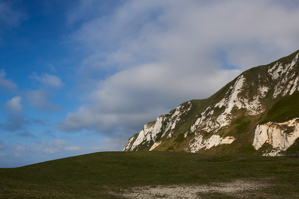 SamphireHoe3004171