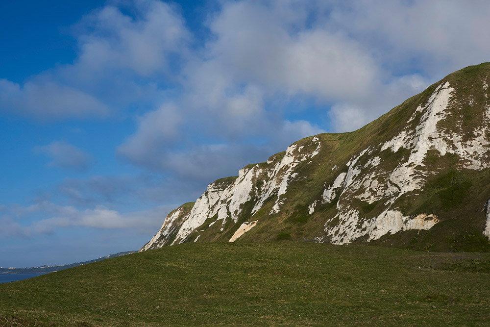 SamphireHoe3004172