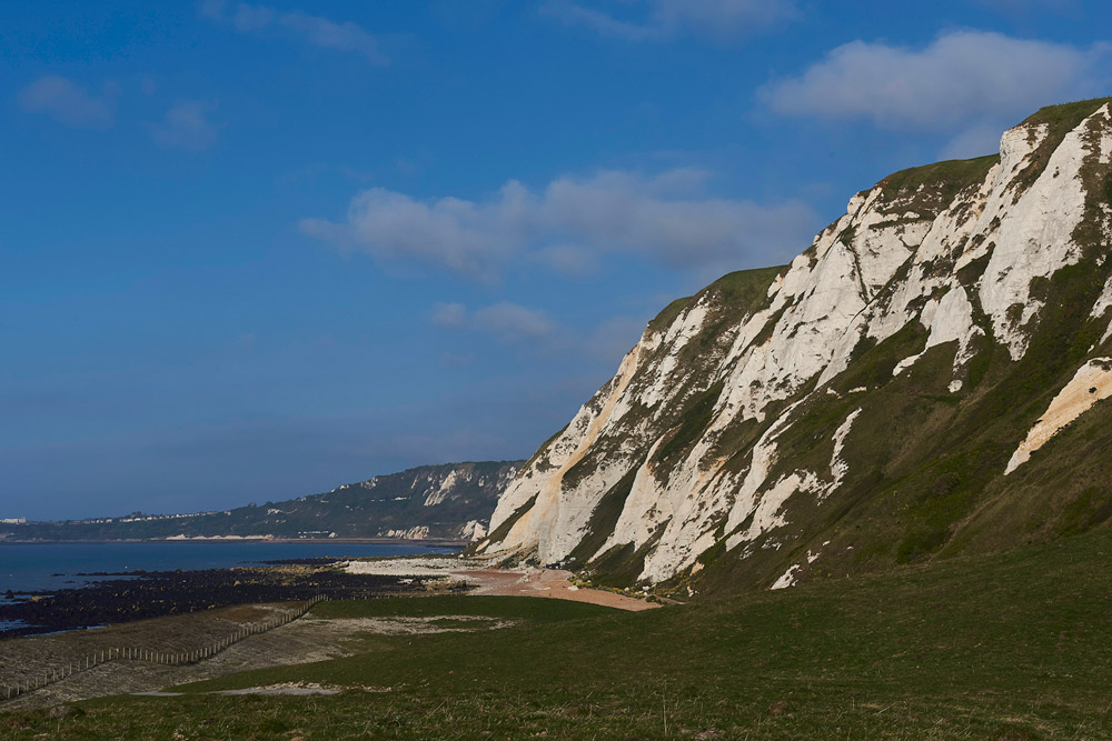 SamphireHoe3004173