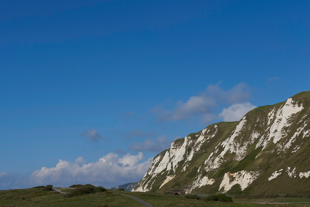 SamphireHoe3004174