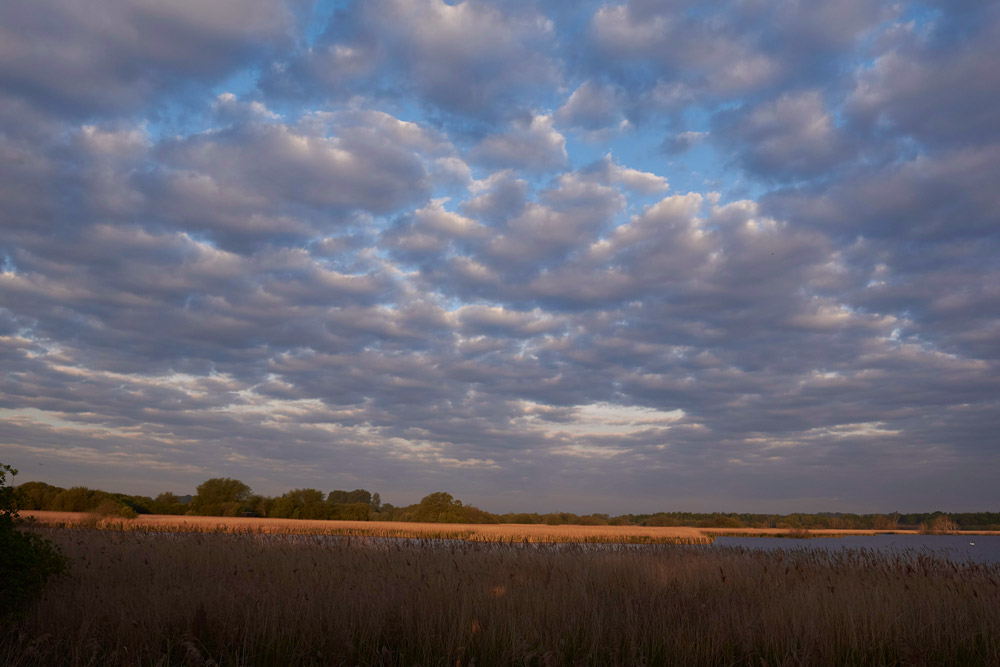 StodMarsh3004177