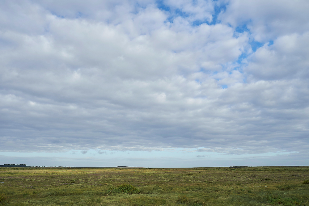 Titchwell270717-1