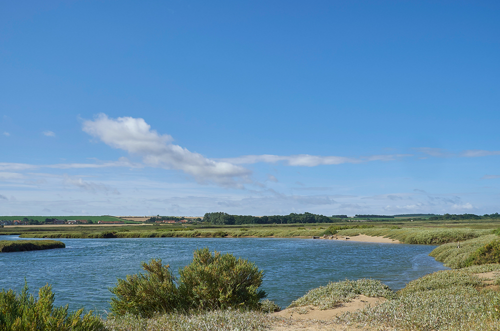 Titchwell270717-2