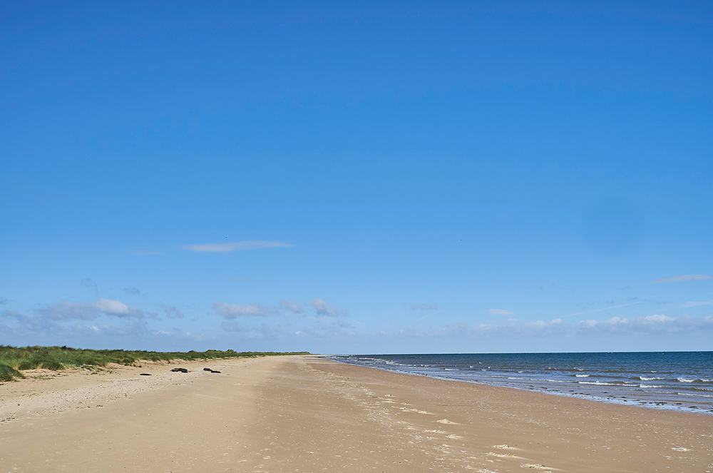 Titchwell270717-3